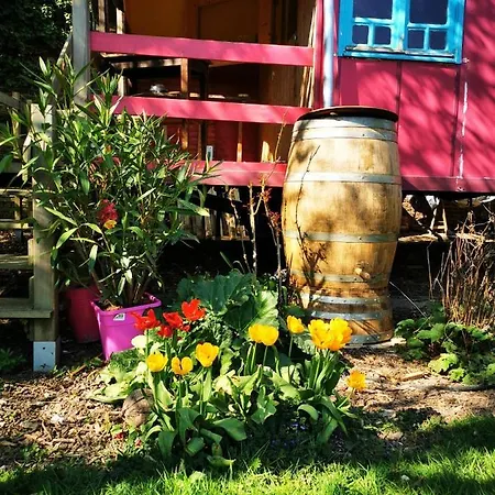 La Maison Des Oiseaux. Roulotte Bed & Breakfast