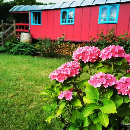 La Maison Des Oiseaux. Roulotte Bed & Breakfast